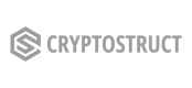 Cryptostruct logo grey