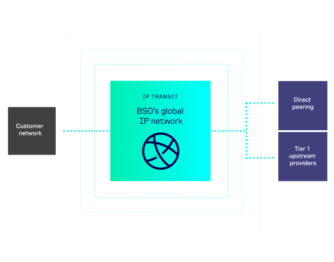 IP Transit infographic@4x
