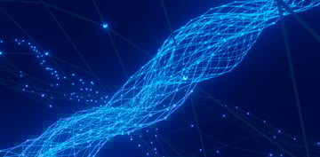 Connectivity as a Competitive Advantage: Why Network Architecture Should Be a Boardroom Topic